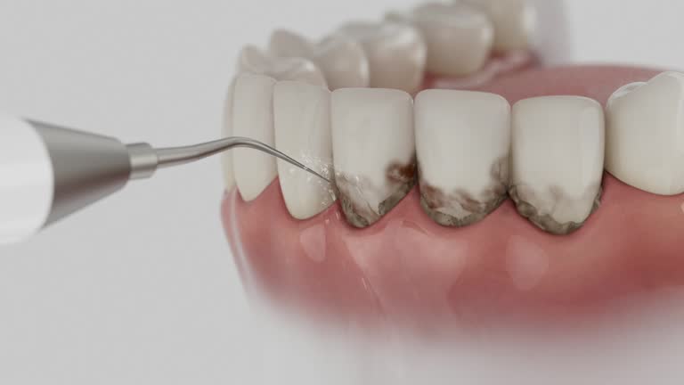Reliable Dental contractor in Purvis, MS by Dentist Open Now